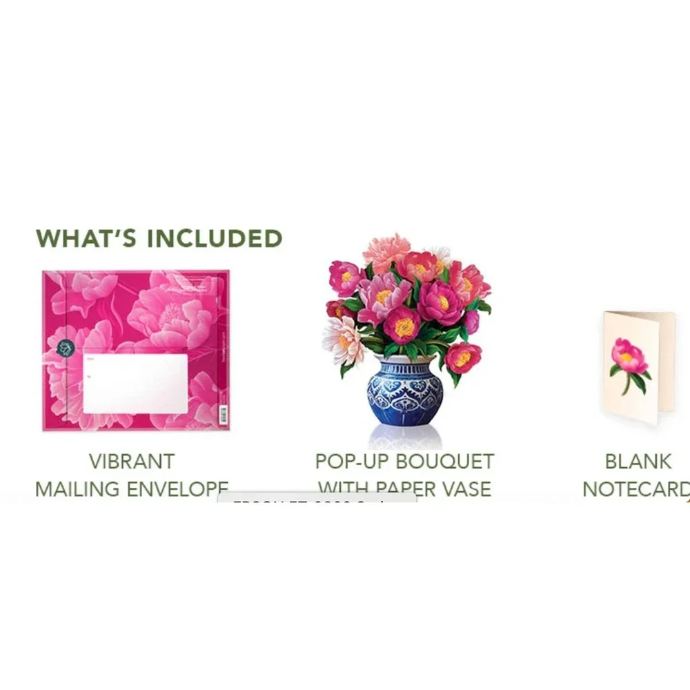 New Peony FreshCut Paper Mini Floral Popup Bouquet w/Note card & Envelope 4-pack